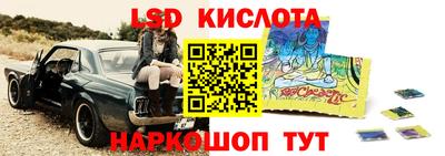 стафф Новокубанск