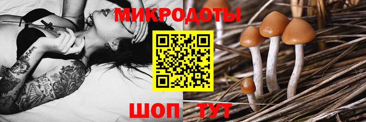 Галлюциногенные грибы мицелий Топки