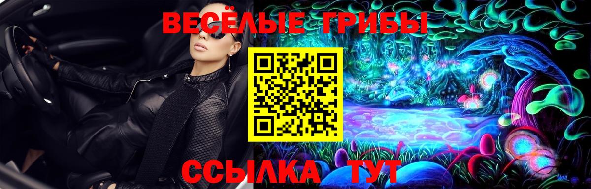 Галлюциногенные грибы мухоморы  цена   Топки  Вход с VPN 